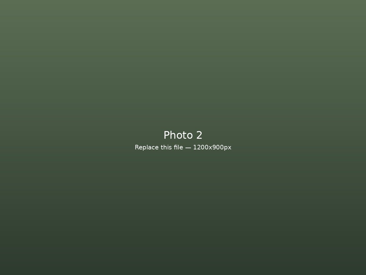 Photograph 2 — replace with your image